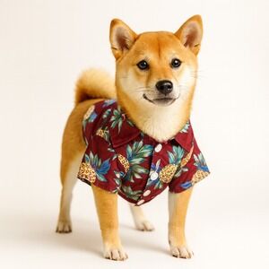Lot of 2 Hawaiian‎ Dog Shirts Pineapple Print, Labeled L – See Measurements